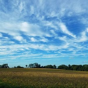 Meet your Posher, Diana